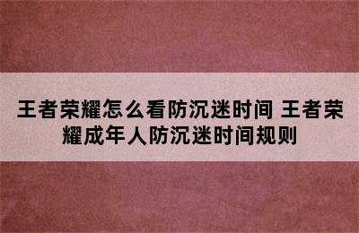 王者荣耀怎么看防沉迷时间 王者荣耀成年人防沉迷时间规则